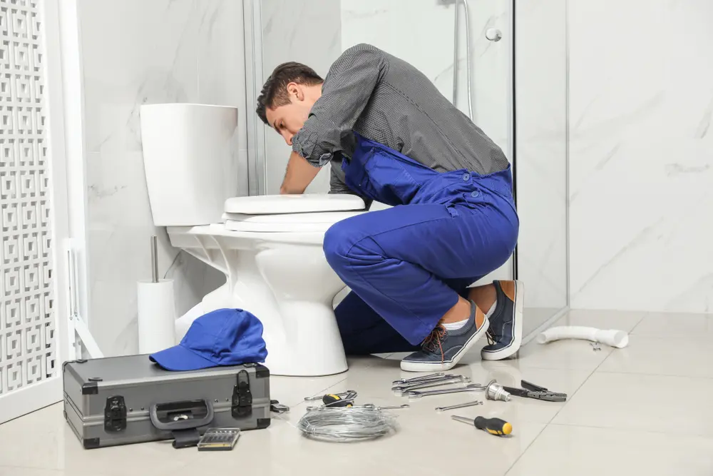 Toilet Repair in La Carla